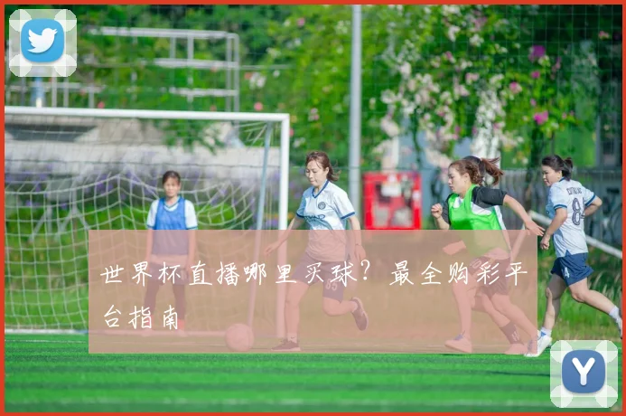 世界杯直播哪里买球？最全购彩平台指南