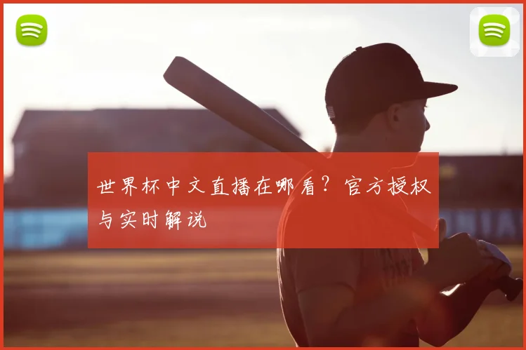 世界杯中文直播在哪看？官方授权与实时解说
