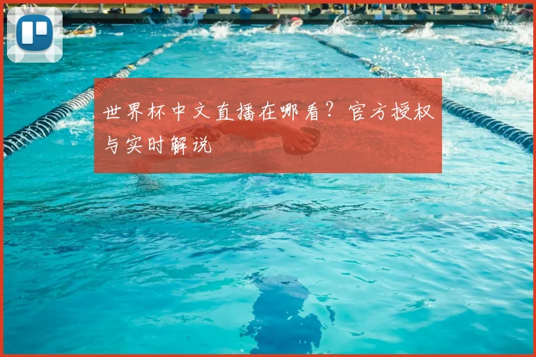 世界杯中文直播在哪看？官方授权与实时解说