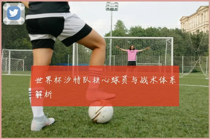 世界杯沙特队核心球员与战术体系解析